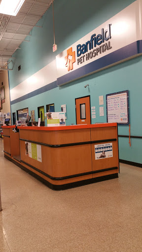 Pet Supply Store «PetSmart», reviews and photos, 190 Rt 10 West, East Hanover, NJ 07936, USA