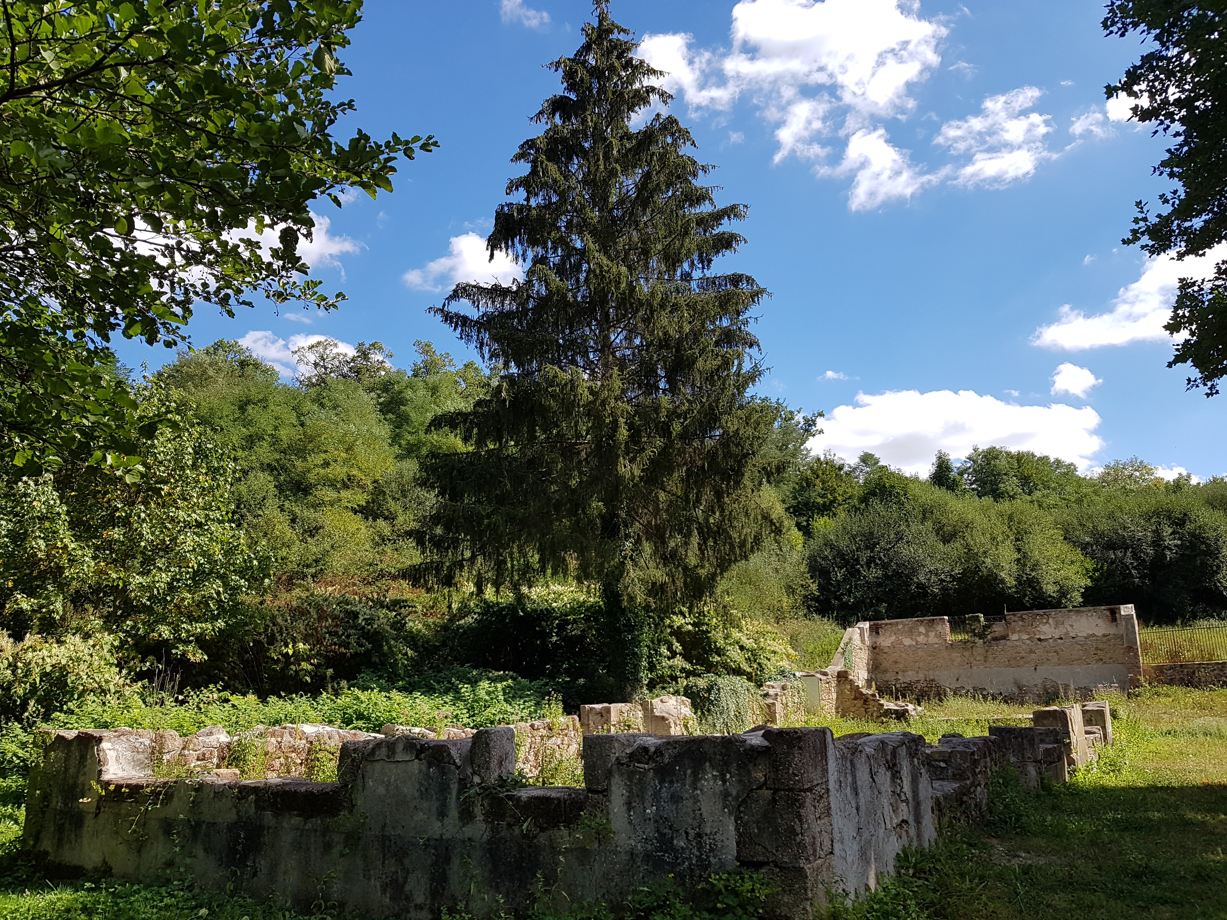 Photo n° 2 de l'avis de Aurélien.e fait le 13/09/2018 à 08:42