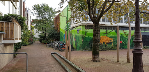 Street art - jungle in Amsterdam