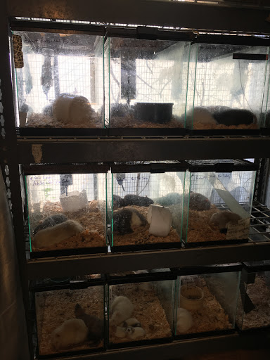Pet Store «Animal House», reviews and photos, 646 SW 4th St, Corvallis, OR 97333, USA