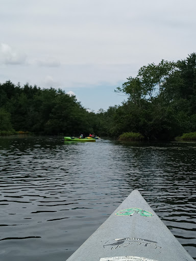 State Park «Parvin State Park», reviews and photos, 701 Almond Rd, Pittsgrove Township, NJ 08318, USA