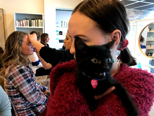 Hair Salon «Le Reve Salon Barbershop», reviews and photos, 2110 Marlton Pike East #7&8, Cherry Hill, NJ 08003, USA