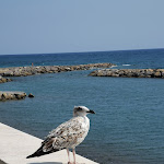 Photo n°3 de l'avis de Myriam.o fait le 18/09/2021 à 20:52 sur le  Hotel & Apartments Sasso à Diano Marina