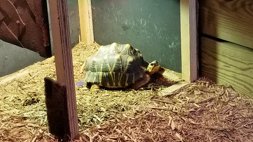 Aquarium «SEA LIFE Charlotte-Concord Aquarium», reviews and photos, 8111 Concord Mills Boulevard, Concord, NC 28027, USA