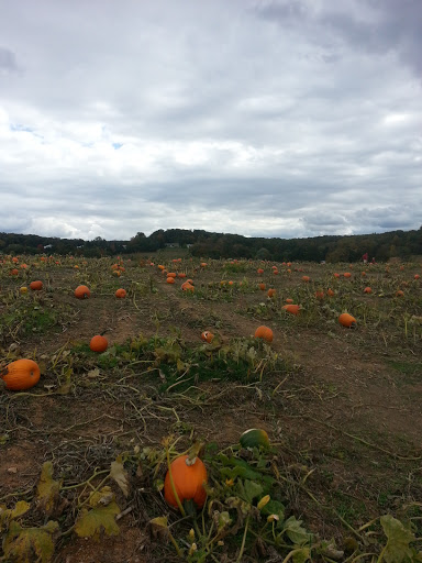 Furniture Store «Westminster New & Used Furniture», reviews and photos, 31 W Main St, Westminster, MD 21157, USA