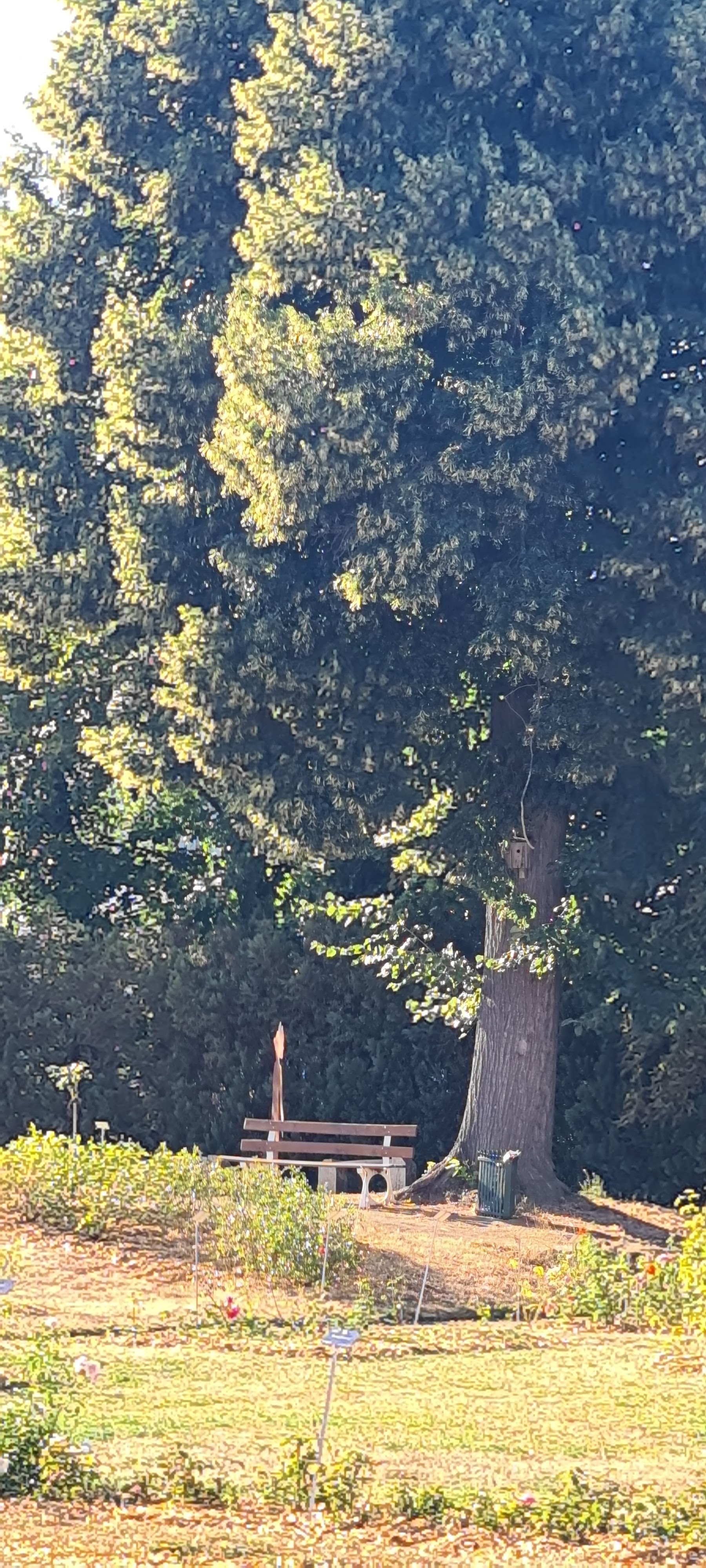 Photo n° 2 de l'avis de Pascal.a fait le 12/08/2022 à 22:11
