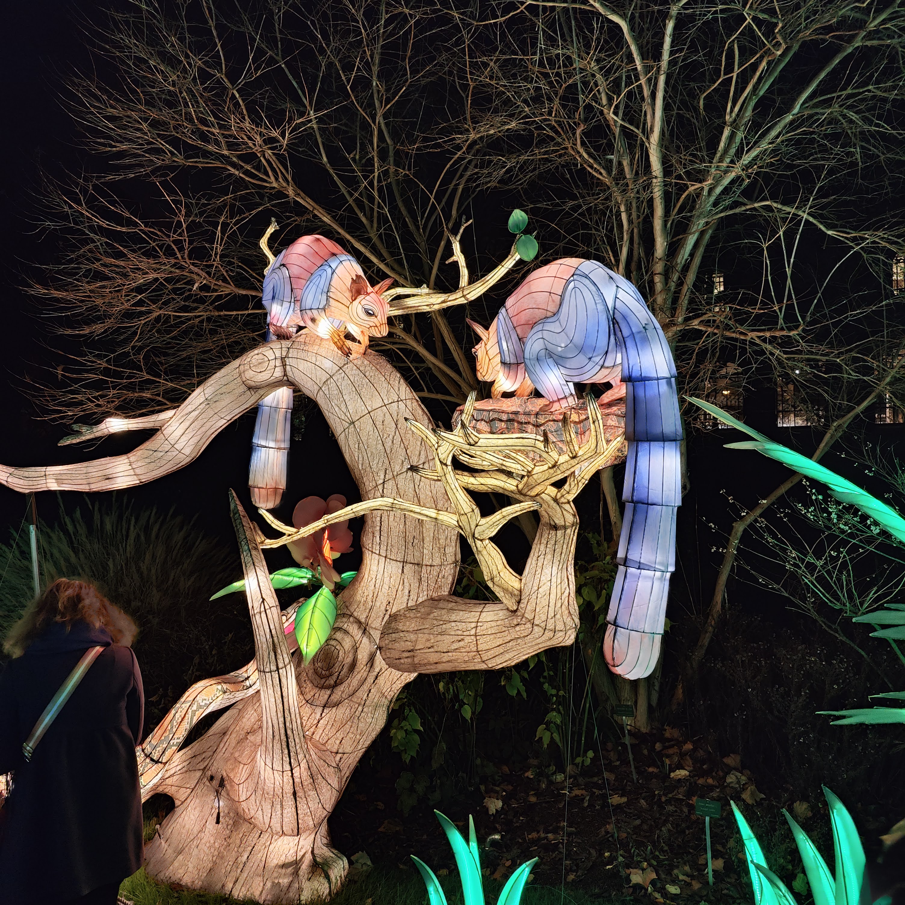 Photo n° 24 de l'avis de Mathieu.H fait le 31/12/2018 à 20:46