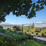 Photo n°3 de l'avis de Noud. fait le 29/07/2023 à 07:40 sur le  Ristorante La Bottega Di Volpaia à Radda in Chianti