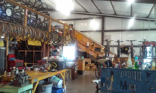 Non-Profit Organization «Yellow Bike Project-NonProfit Bike Collective», reviews and photos