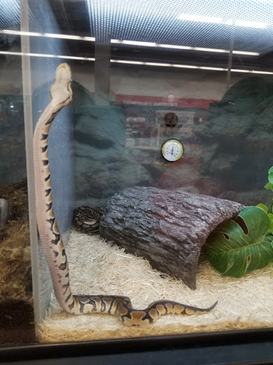 Pet Supply Store «Petco Animal Supplies», reviews and photos, 6631 Edwardsville Crossing Dr, Edwardsville, IL 62025, USA