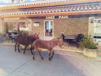 Photos du propriétaire du Restaurant Chez Paul à Bastelica - n°4