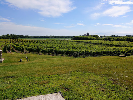 Winery «Parallel 44 Vineyard & Winery», reviews and photos, N2185 Sleepy Hollow Rd, Kewaunee, WI 54216, USA
