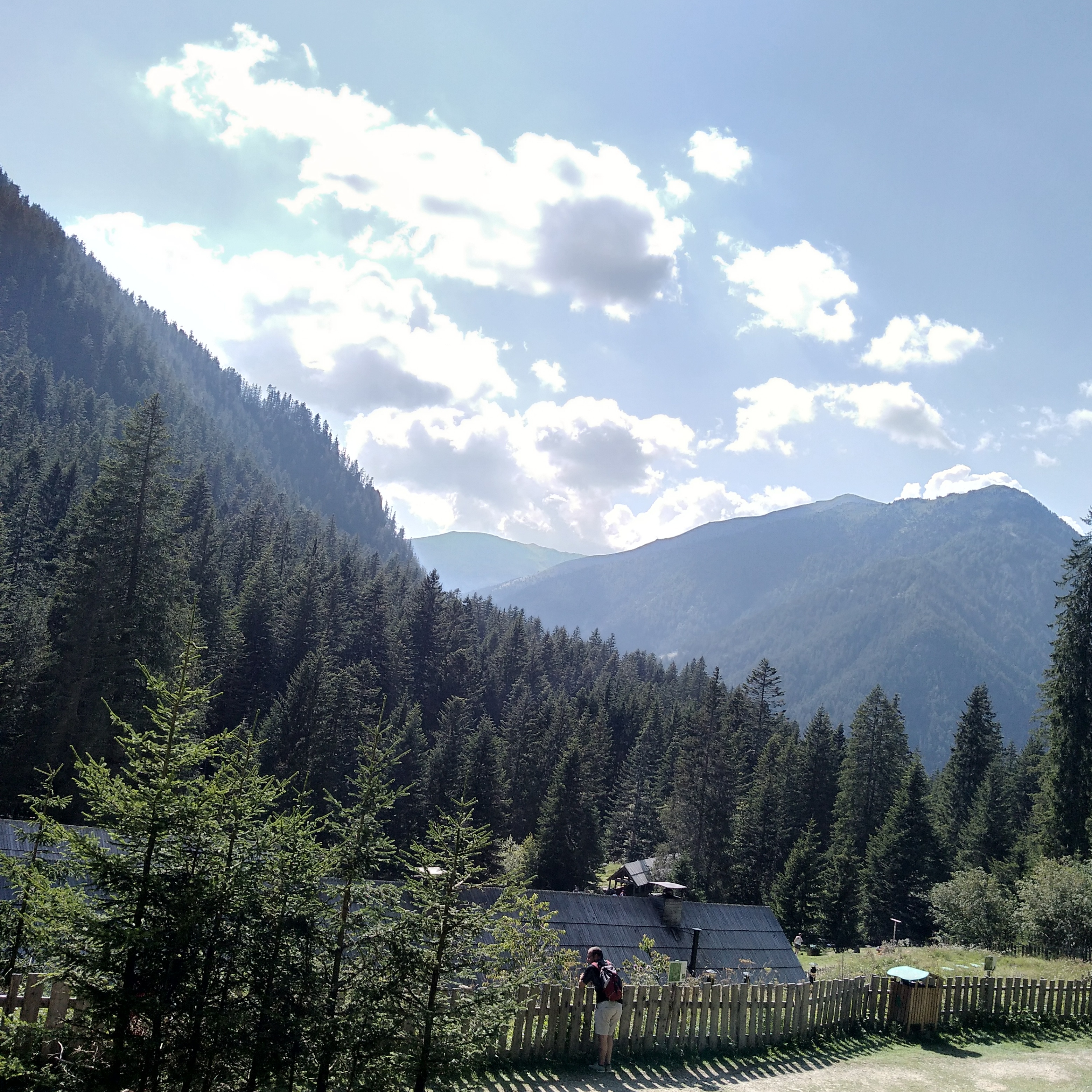 Photo n° 7 de l'avis de Cm.o fait le 16/08/2018 à 11:15