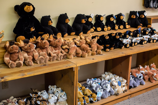 Eagle Feather Trading Post