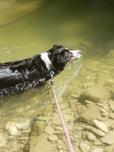 Park «Hoblitzelle Park», reviews and photos, 7500 Red River Dr, Plano, TX 75025, USA