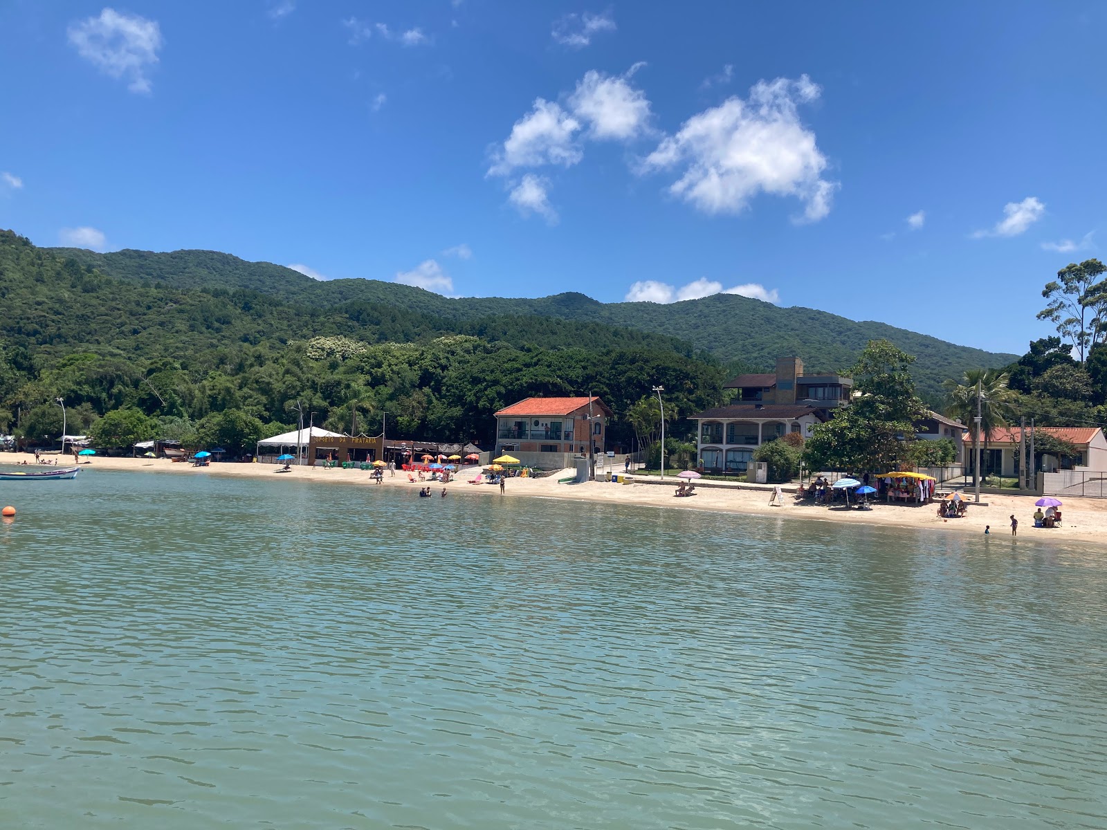 Foto von Delfinbuchtstrand mit sehr sauber Sauberkeitsgrad