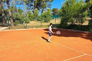 Tennis Center Maksimir image