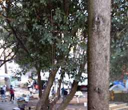 Popular IMPI Park photo