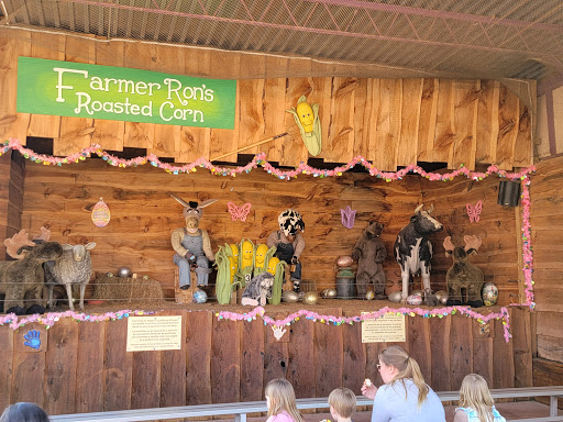 Childrens Farm «Best Long Island Pumpkin Picking», reviews and photos, 250 Old Country Rd, Melville, NY 11747, USA