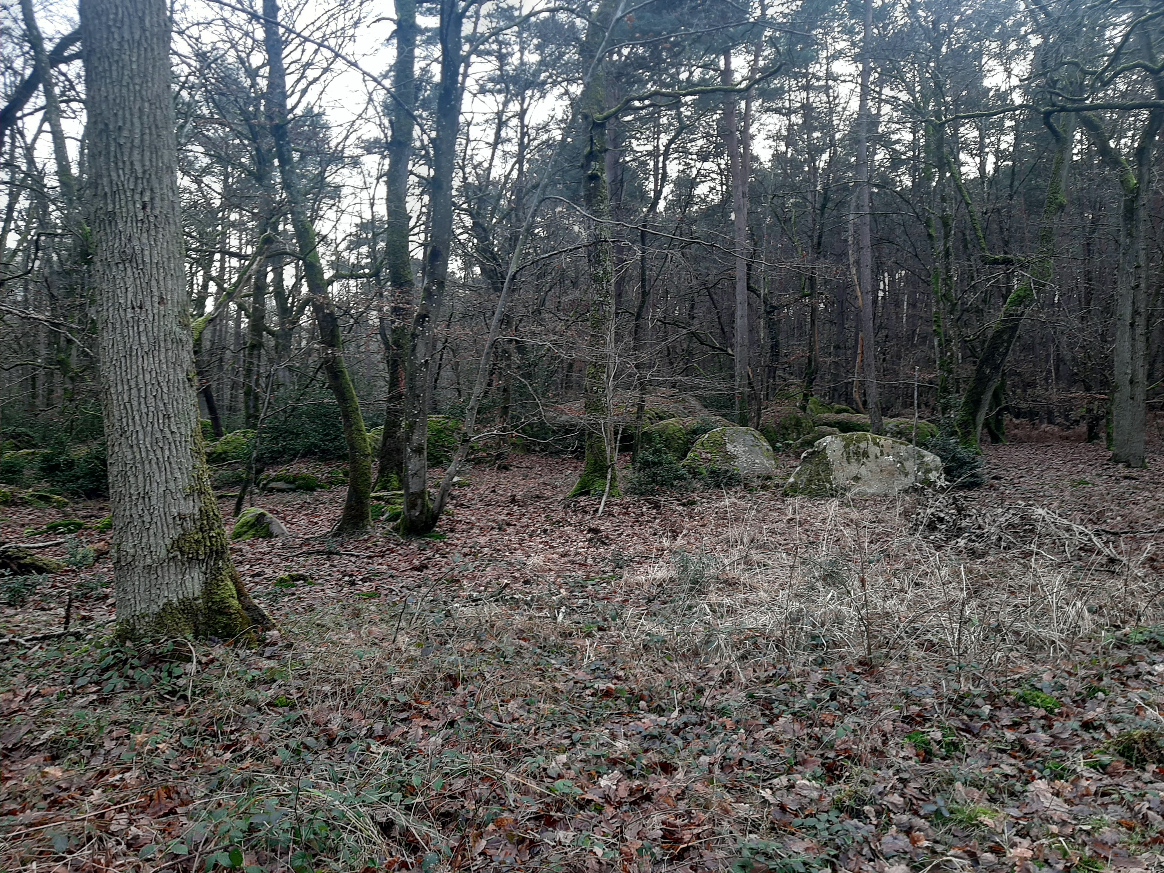 Photo n° 2 de l'avis de Sarah.e fait le 07/01/2022 à 17:56