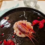 Photo n°2 de l'avis de Diego.r fait le 29/07/2021 à 19:54 sur le  Le Petit Jardin Dessena Sebastiano e C. S.a.s. à Finale Ligure