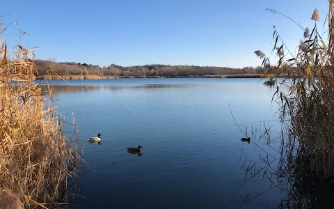 Wienerbergteich Badestrand image