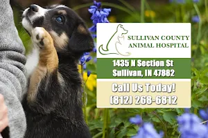 Sullivan County Animal Hospital image