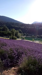 Photo n°81 de Le France à Dieulefit ()