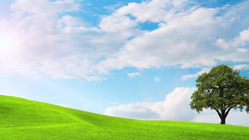 Melluso Salvador Cocheria en Carmen de Patagones