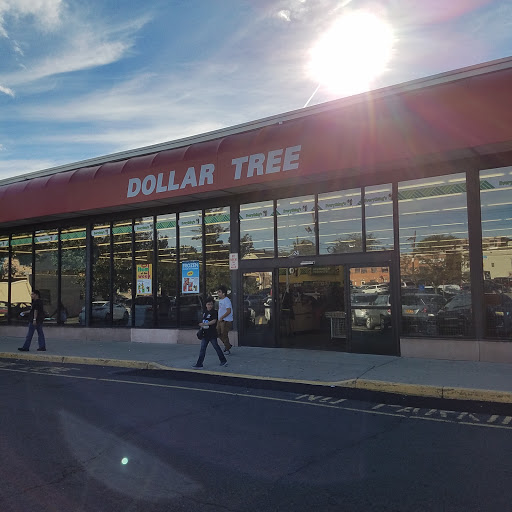 Dollar Store «Dollar Tree», reviews and photos, 24 Portland Ave, Bergenfield, NJ 07621, USA