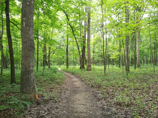 Nature Preserve «Meacham Forest Preserve», reviews and photos, Circle Ave, Bloomingdale, IL 60108, USA