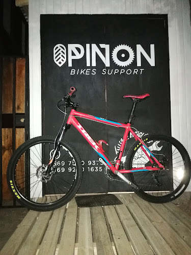 Piñon Bikes Support - Tienda de bicicletas