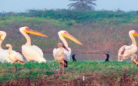 Soor Sarovar Bird Sanctuary image