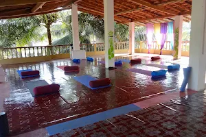 Ruh yoga - Yoga teacher training in goa image
