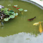 Photo n°42 de l'avis de Giovanni.e fait le 15/06/2023 à 20:06 sur le  Hotel Parsifal - Antico Convento del 1288 & Ristorante Raffaele à Ravello