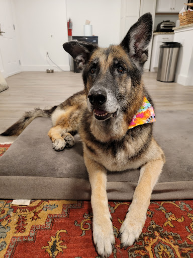 Pet Supply Store «EarthWise Pet Voorhees», reviews and photos, 154 NJ-73, Voorhees Township, NJ 08043, USA