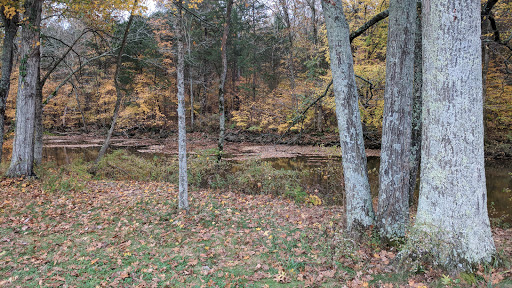 Golf Driving Range «Windtree Golf Club», reviews and photos, 810 Nonaville Rd, Mt Juliet, TN 37122, USA