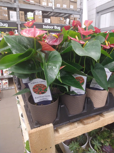 Home Improvement Store «The Home Depot», reviews and photos, 18700 Meyers Rd, Detroit, MI 48235, USA