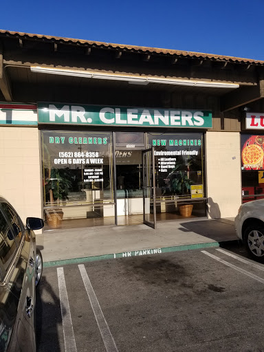 Mr Cleaner's