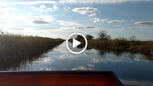 Tourist Attraction «Blackwater Airboat Tours», reviews and photos, US-27, Pompano Beach, FL 33321, USA