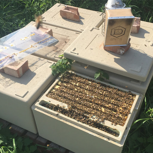 Honeyfields Bee Farm