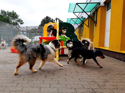 Dogmopolite Kutyapanzió és Kutyanapközi Szentendre