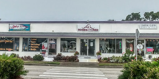 Roses Are Red Florist, 425 5th Ave, Indialantic, FL 32903, USA, 