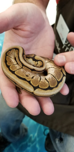 Pet Supply Store «Petco Animal Supplies», reviews and photos, 4011 Durham-Chapel Hill Blvd, Durham, NC 27707, USA