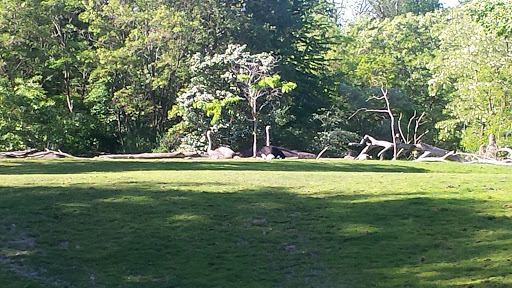 Zoo «Seattle Rotary Education Center», reviews and photos, Zoo acrd., Seattle, WA 98103, USA