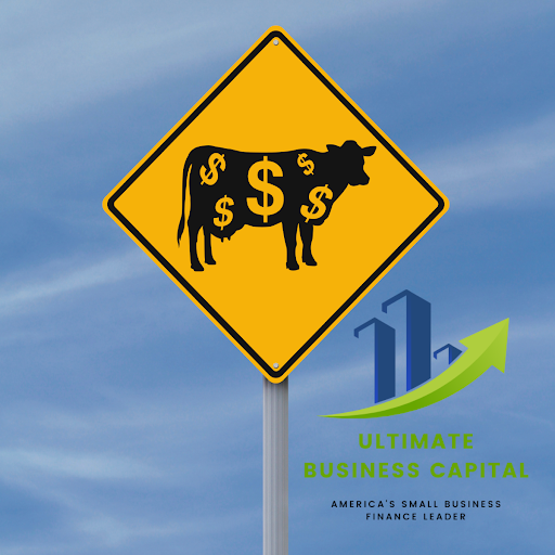 Ultimate Business Capital image