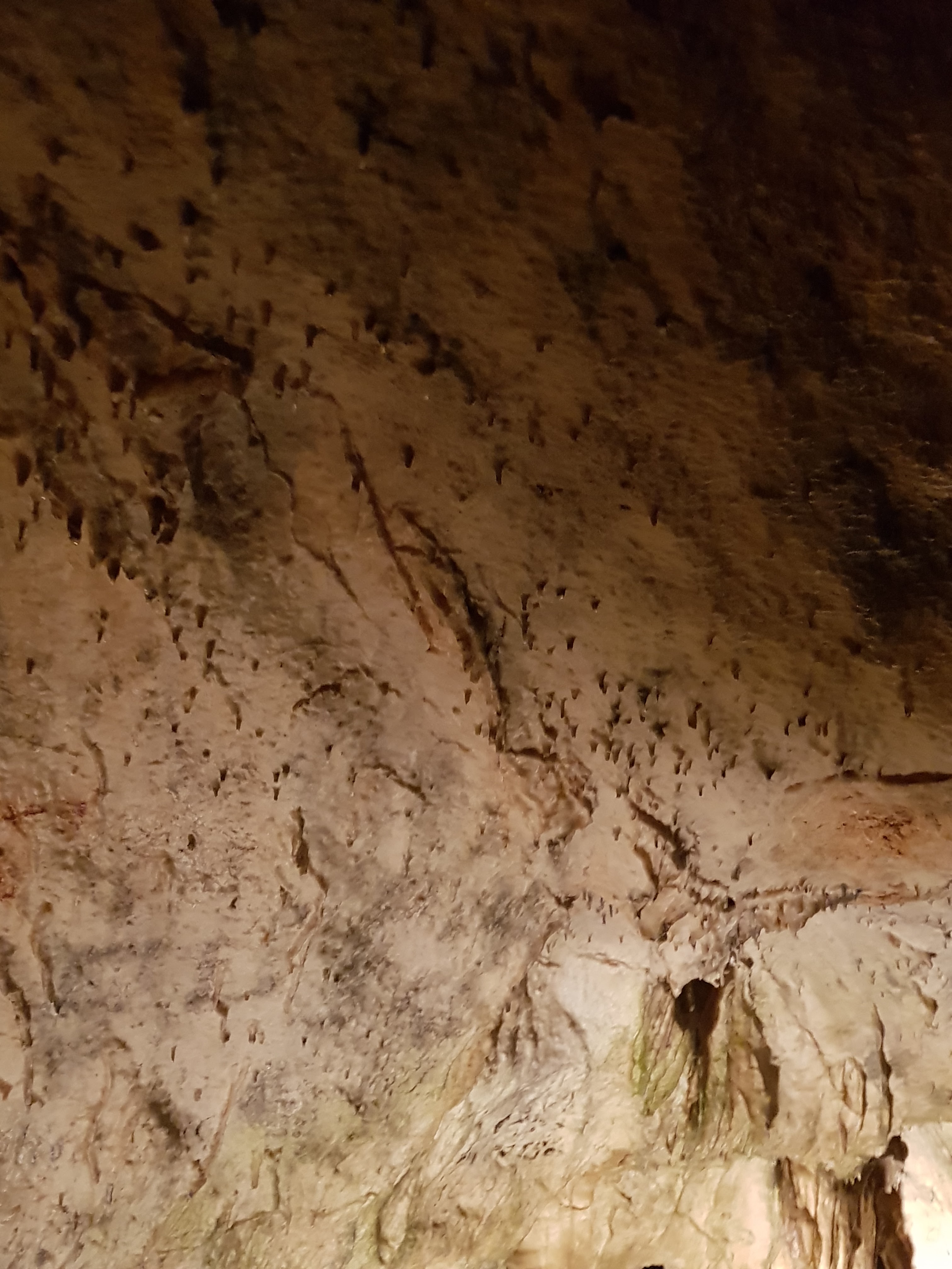 Photo n° 27 de l'avis de Jan.o fait le 05/06/2019 à 17:42
