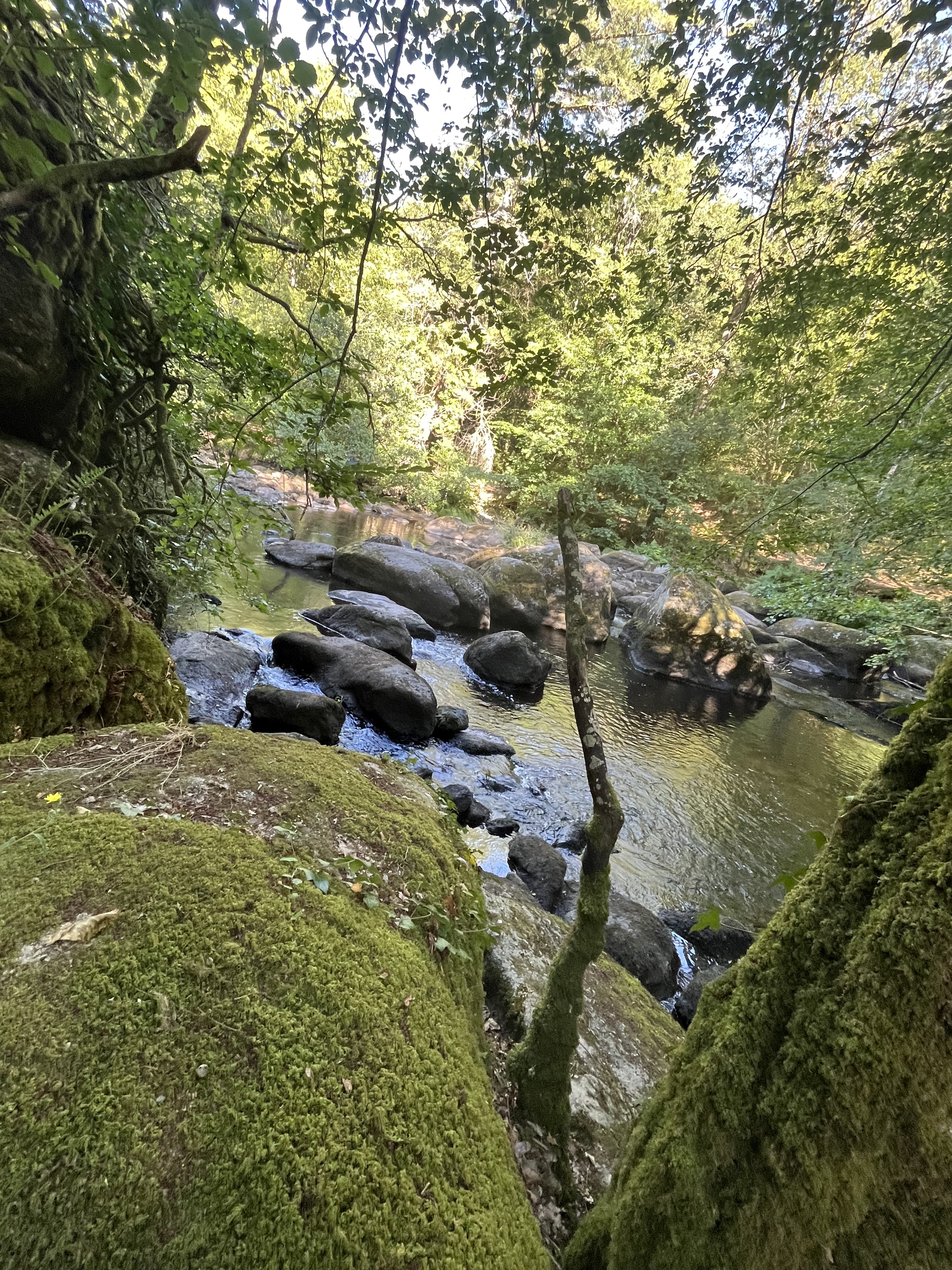 Photo n° 2 de l'avis de cedric.e fait le 04/08/2023 à 00:04