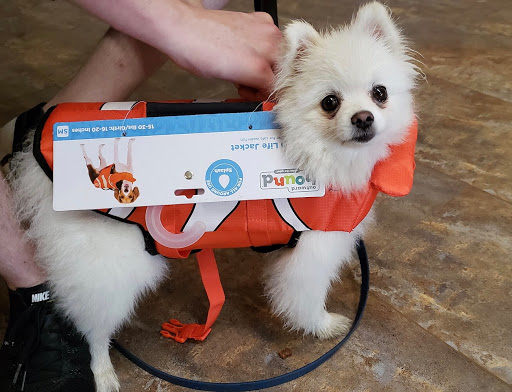 Pet Supply Store «Beowoof Provisions For Pets», reviews and photos, 106 5th St, Hoboken, NJ 07030, USA