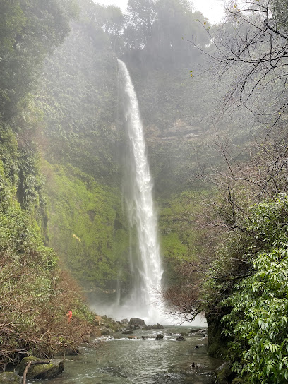 Cascada el claro